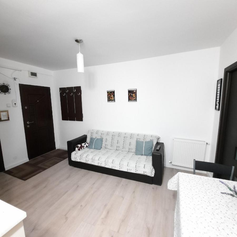 Apartament Kepa Din Пьятра-Нямц Экстерьер фото